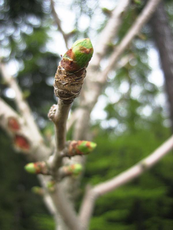 2010 05 14 A
